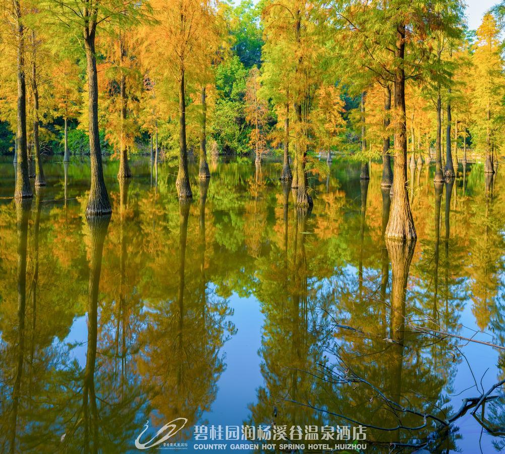 Country Garden Hot Spring Hotel Huizhou Huizhou  Eksteriør billede